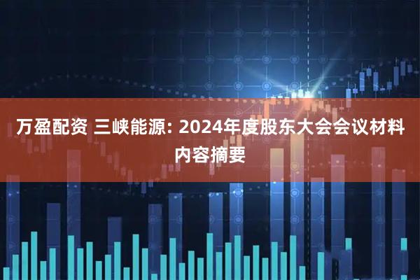 万盈配资 三峡能源: 2024年度股东大会会议材料内容摘要