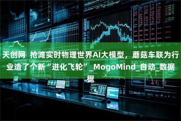 天创网  抢滩实时物理世界AI大模型，蘑菇车联为行业造了个新“进化飞轮”_MogoMind_自动_数据