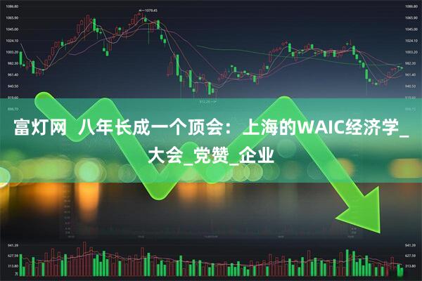 富灯网  八年长成一个顶会：上海的WAIC经济学_大会_党赞_企业