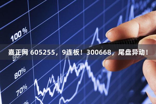 嘉正网 605255，9连板！300668，尾盘异动！