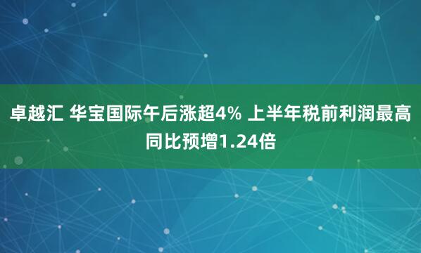 卓越汇 华宝国际午后涨超4% 上半年税前利润最高同比预增1.24倍