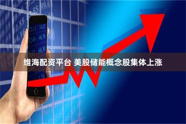 维海配资平台 美股储能概念股集体上涨