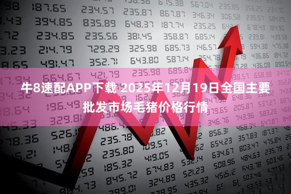 牛8速配APP下载 2025年12月19日全国主要批发市场毛猪价格行情