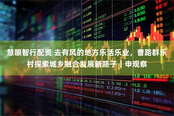 慧眼智行配资 去有风的地方乐活乐业，曹路群乐村探索城乡融合发展新路子｜申观察